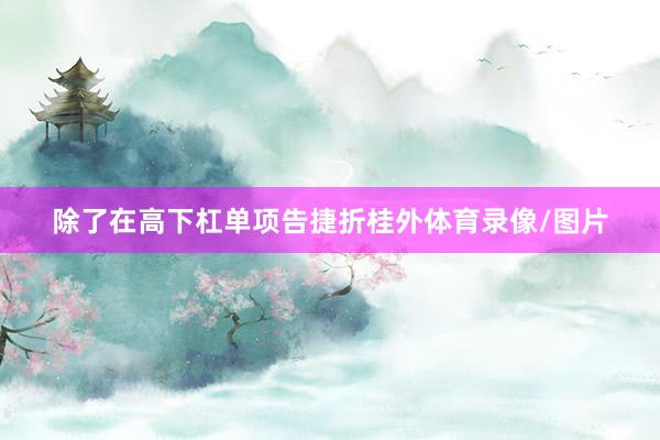 除了在高下杠单项告捷折桂外体育录像/图片