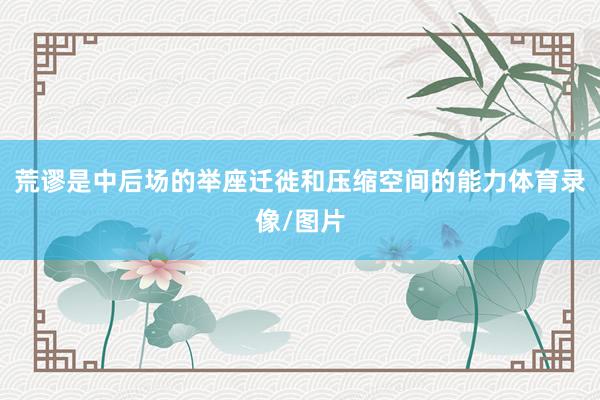 荒谬是中后场的举座迁徙和压缩空间的能力体育录像/图片