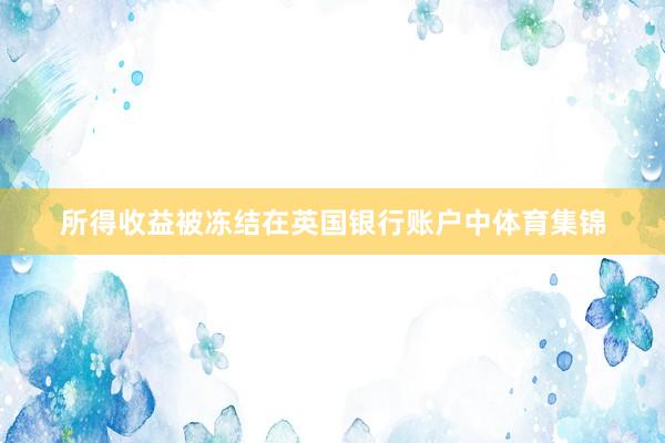 所得收益被冻结在英国银行账户中体育集锦