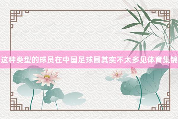 这种类型的球员在中国足球圈其实不太多见体育集锦