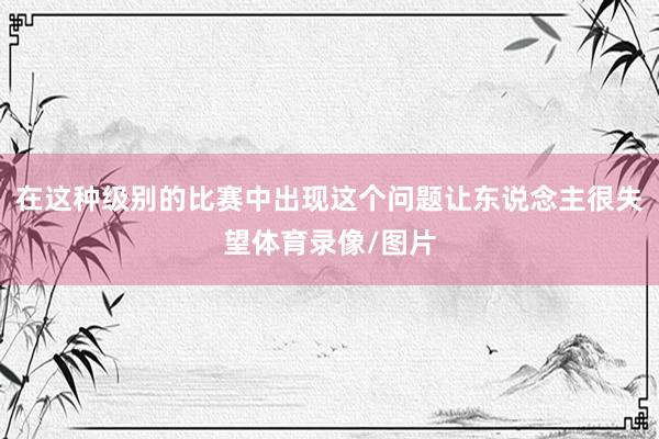 在这种级别的比赛中出现这个问题让东说念主很失望体育录像/图片