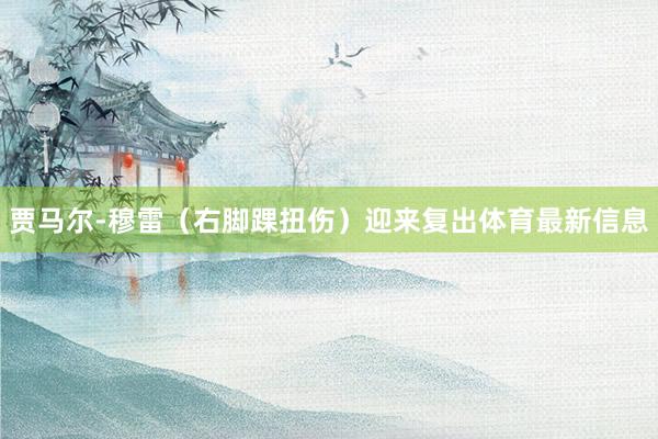 贾马尔-穆雷（右脚踝扭伤）迎来复出体育最新信息