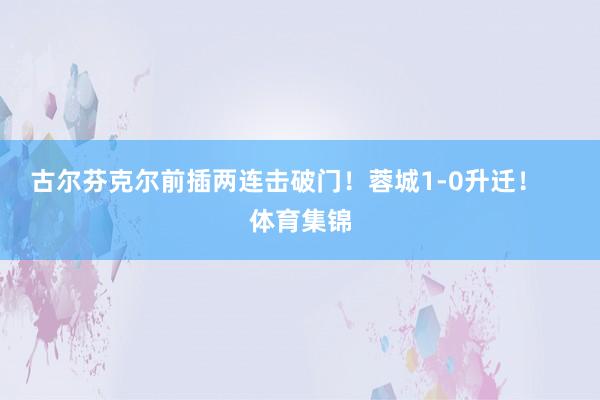 古尔芬克尔前插两连击破门！蓉城1-0升迁！    体育集锦