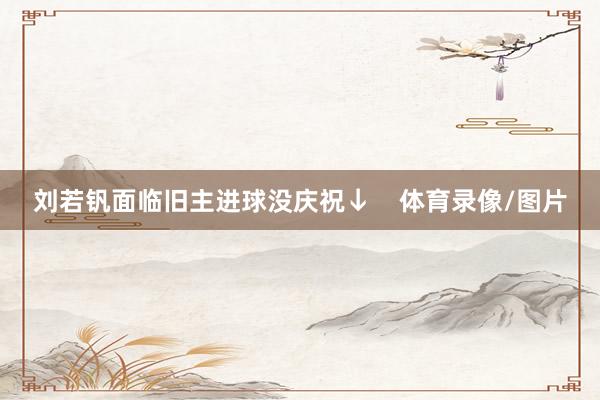 刘若钒面临旧主进球没庆祝↓    体育录像/图片