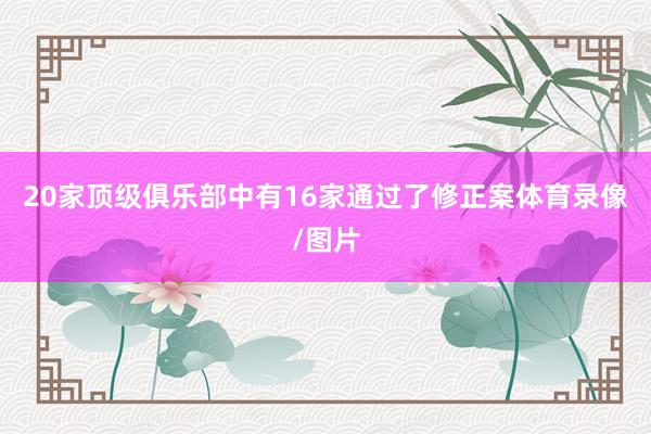 20家顶级俱乐部中有16家通过了修正案体育录像/图片