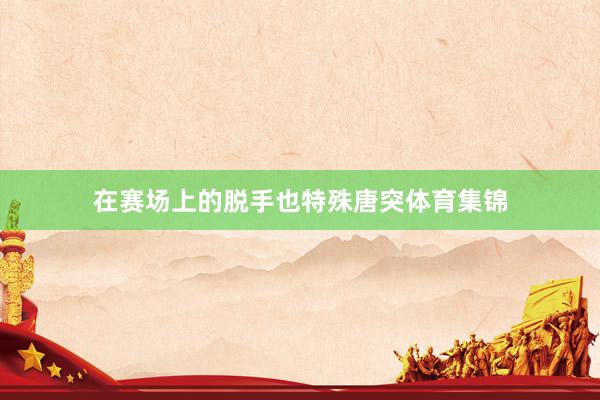 在赛场上的脱手也特殊唐突体育集锦