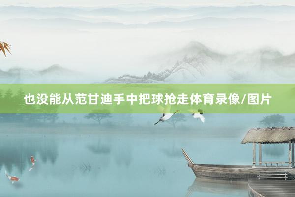 也没能从范甘迪手中把球抢走体育录像/图片