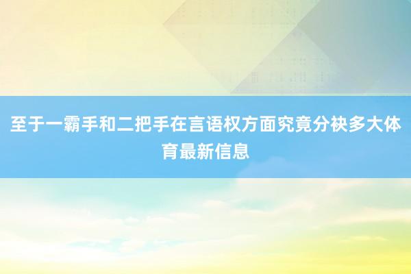 至于一霸手和二把手在言语权方面究竟分袂多大体育最新信息
