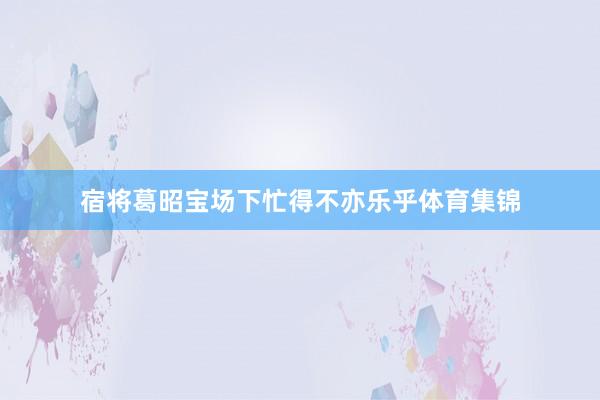 宿将葛昭宝场下忙得不亦乐乎体育集锦