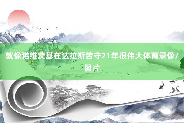 就像诺维茨基在达拉斯苦守21年很伟大体育录像/图片