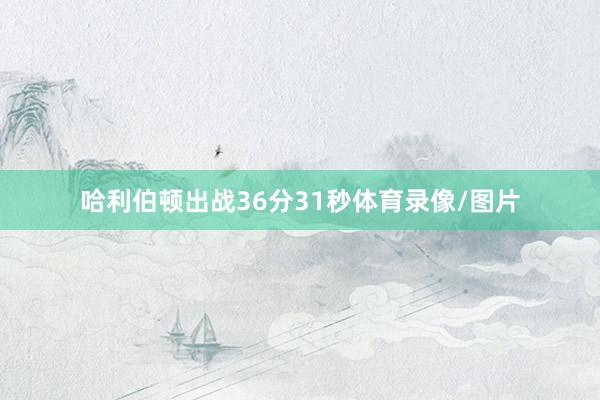 哈利伯顿出战36分31秒体育录像/图片