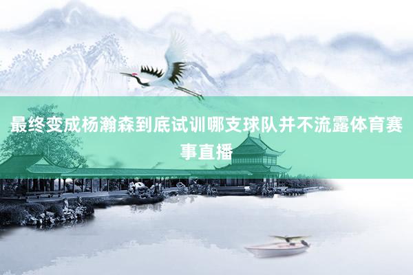 最终变成杨瀚森到底试训哪支球队并不流露体育赛事直播
