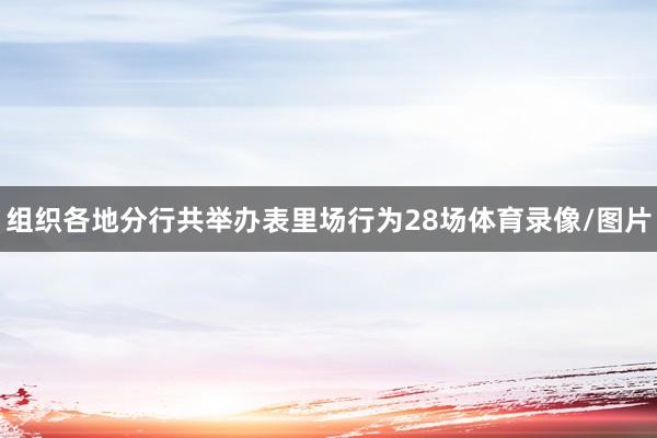 组织各地分行共举办表里场行为28场体育录像/图片