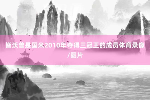 皆沃曾是国米2010年夺得三冠王的成员体育录像/图片