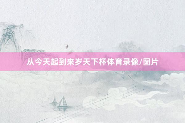 从今天起到来岁天下杯体育录像/图片