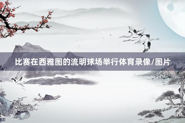比赛在西雅图的流明球场举行体育录像/图片