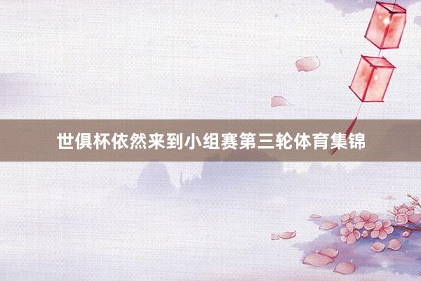世俱杯依然来到小组赛第三轮体育集锦