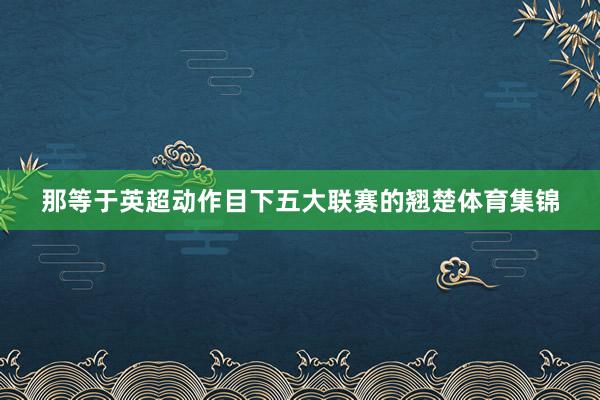 那等于英超动作目下五大联赛的翘楚体育集锦