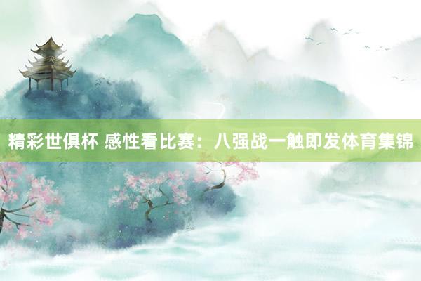 精彩世俱杯 感性看比赛：八强战一触即发体育集锦