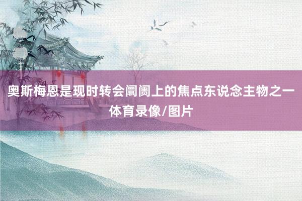 奥斯梅恩是现时转会阛阓上的焦点东说念主物之一体育录像/图片