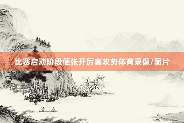 比赛启动阶段便张开厉害攻势体育录像/图片