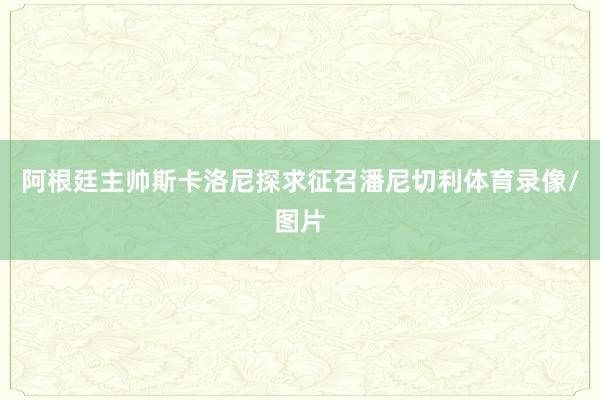 阿根廷主帅斯卡洛尼探求征召潘尼切利体育录像/图片