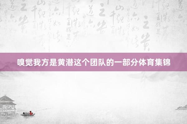 嗅觉我方是黄潜这个团队的一部分体育集锦