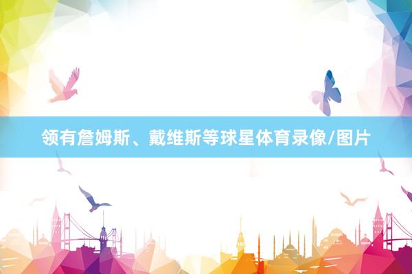 领有詹姆斯、戴维斯等球星体育录像/图片