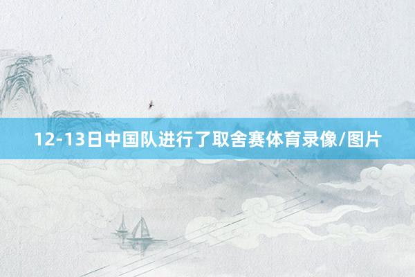 12-13日中国队进行了取舍赛体育录像/图片