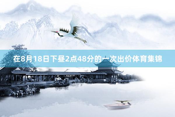 在8月18日下昼2点48分的一次出价体育集锦
