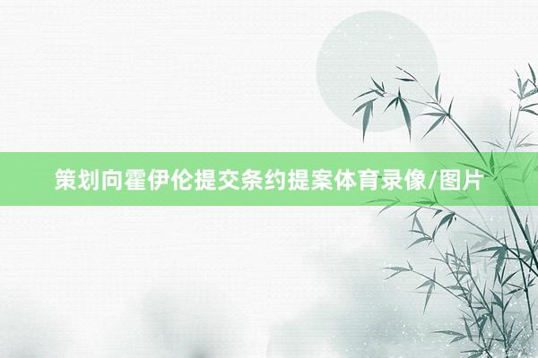 策划向霍伊伦提交条约提案体育录像/图片