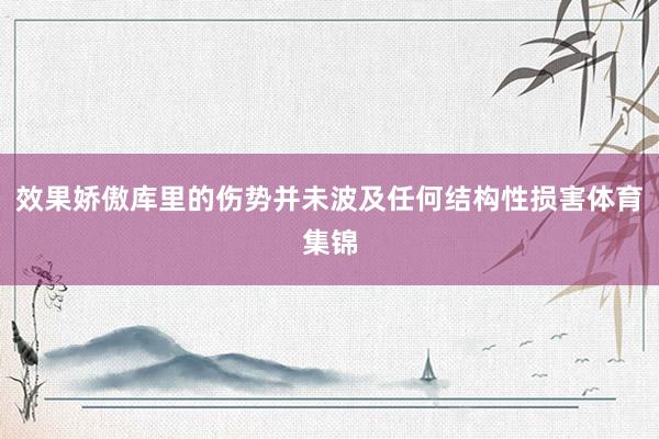 效果娇傲库里的伤势并未波及任何结构性损害体育集锦
