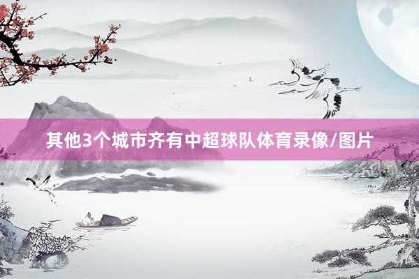 其他3个城市齐有中超球队体育录像/图片