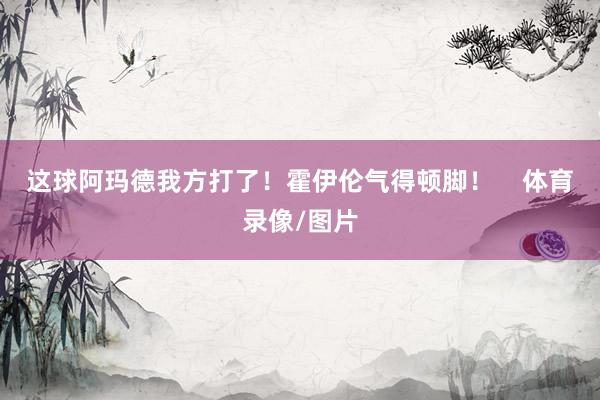 这球阿玛德我方打了！霍伊伦气得顿脚！    体育录像/图片