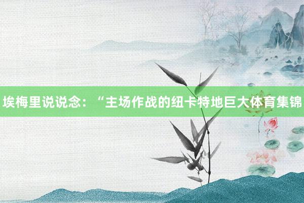 埃梅里说说念：“主场作战的纽卡特地巨大体育集锦