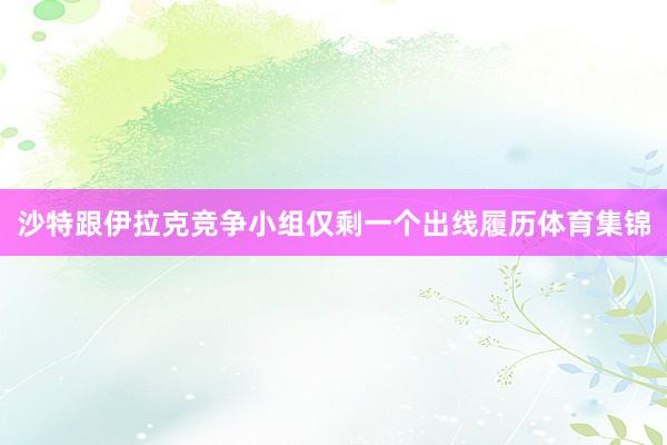 沙特跟伊拉克竞争小组仅剩一个出线履历体育集锦