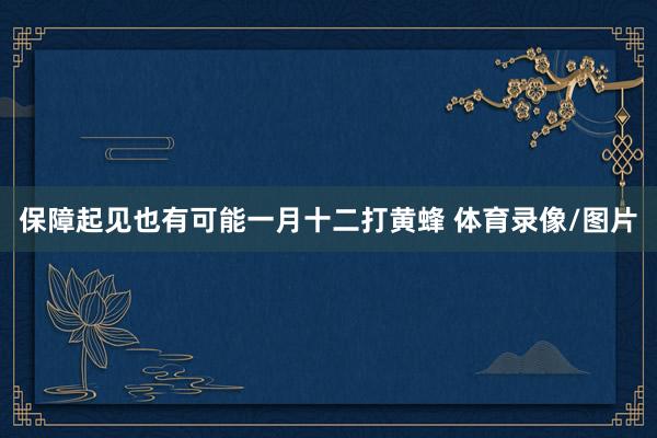 保障起见也有可能一月十二打黄蜂 体育录像/图片