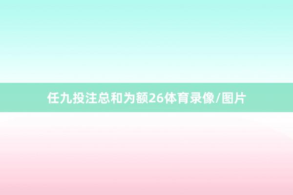 任九投注总和为额26体育录像/图片