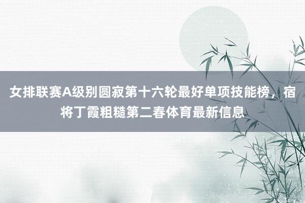 女排联赛A级别圆寂第十六轮最好单项技能榜，宿将丁霞粗糙第二春体育最新信息