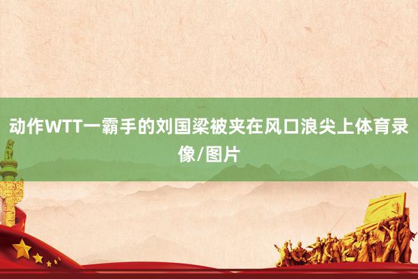 动作WTT一霸手的刘国梁被夹在风口浪尖上体育录像/图片