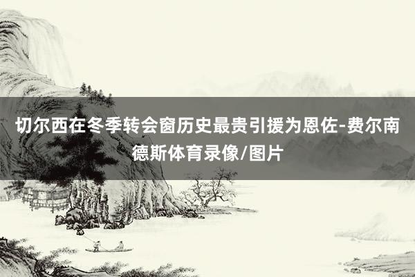 切尔西在冬季转会窗历史最贵引援为恩佐-费尔南德斯体育录像/图片