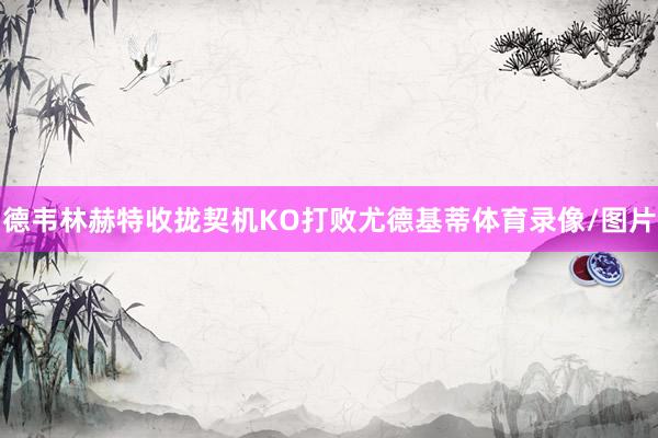 德韦林赫特收拢契机KO打败尤德基蒂体育录像/图片