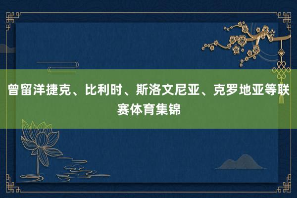 曾留洋捷克、比利时、斯洛文尼亚、克罗地亚等联赛体育集锦