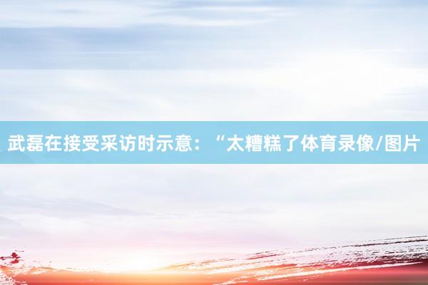武磊在接受采访时示意：“太糟糕了体育录像/图片
