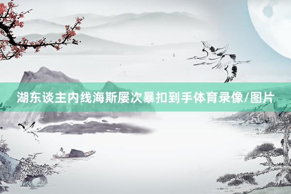 湖东谈主内线海斯屡次暴扣到手体育录像/图片