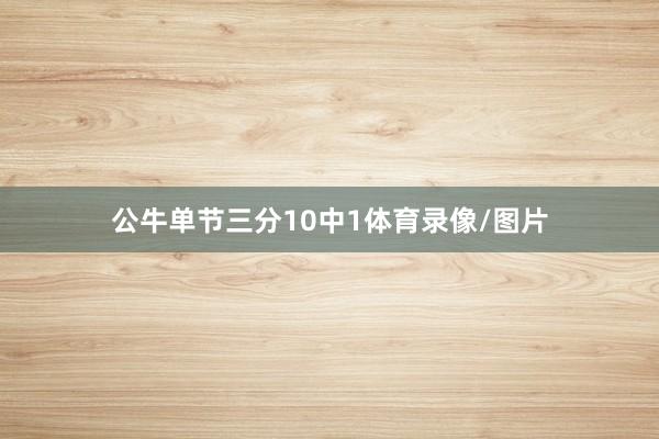公牛单节三分10中1体育录像/图片