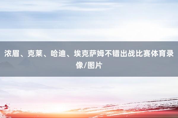 浓眉、克莱、哈迪、埃克萨姆不错出战比赛体育录像/图片