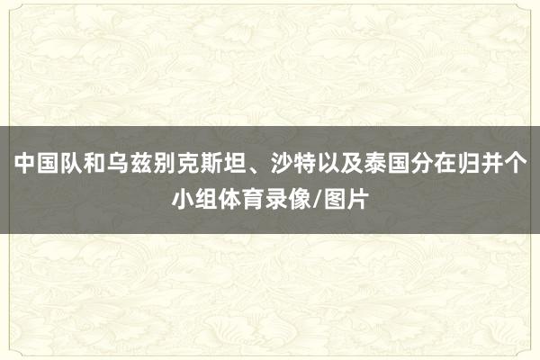 中国队和乌兹别克斯坦、沙特以及泰国分在归并个小组体育录像/图片