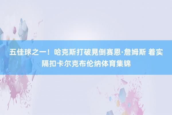 五佳球之一！哈克斯打破晃倒赛恩·詹姆斯 着实隔扣卡尔克布伦纳体育集锦