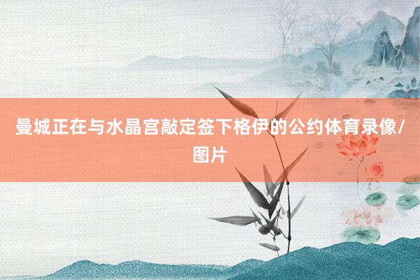 曼城正在与水晶宫敲定签下格伊的公约体育录像/图片